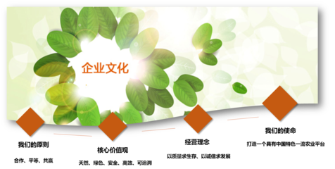 江苏绿色农产品直销平台推广项目股权融资1000万元-投融界